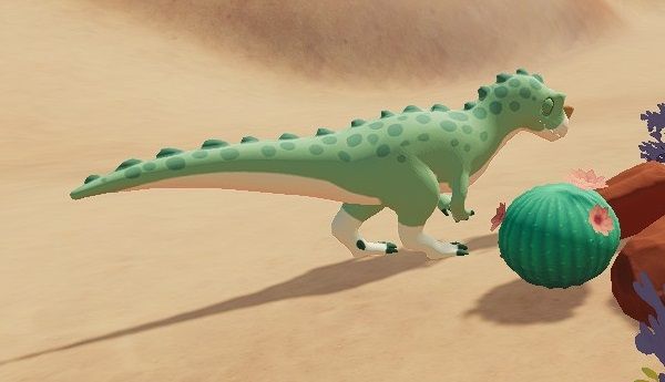 Light green Ceratosaurus sleeping near a ball Cactus and some rocks in Ariacotta Dunes during the day in Paleo Pines.