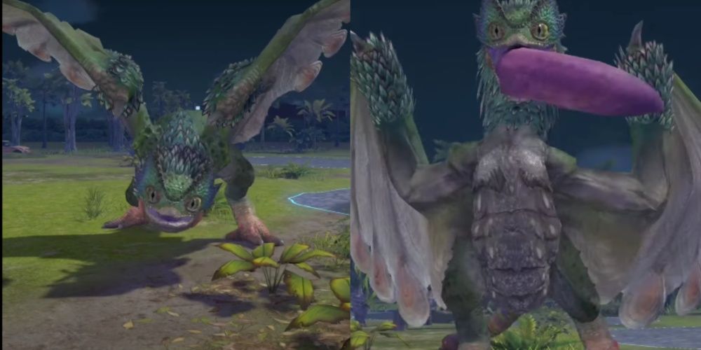 Pukei-Pukei From Monster Hunter Now