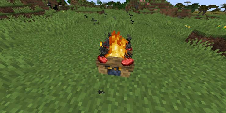 minecraft-cooking-on-a-campfire.jpg (740×370)