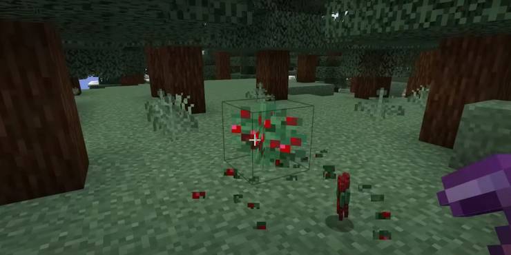 minecraft-fortune-enchantment.jpg (740×370)