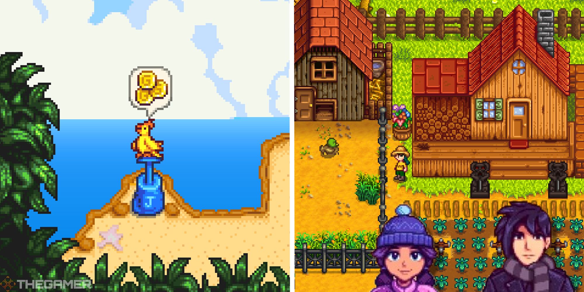 split image showing golden parrot next to image of farm with jas and sebastian wearing winter clothes