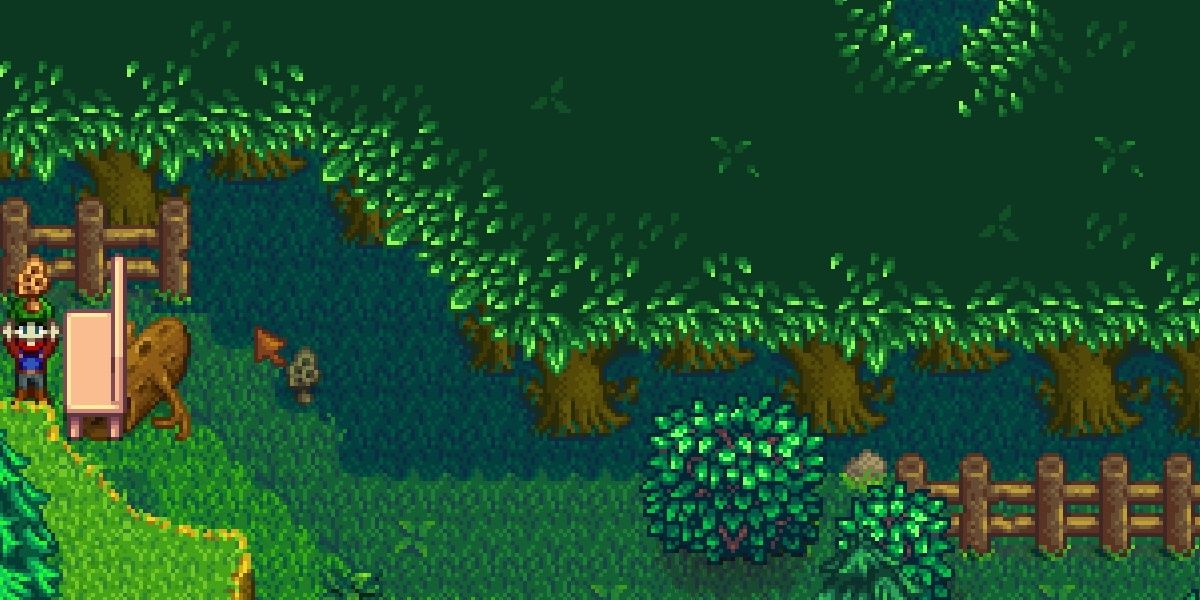 Stardew Valley Player Holding A Morel Next To A Bench At The Entrance To The Secret Woods