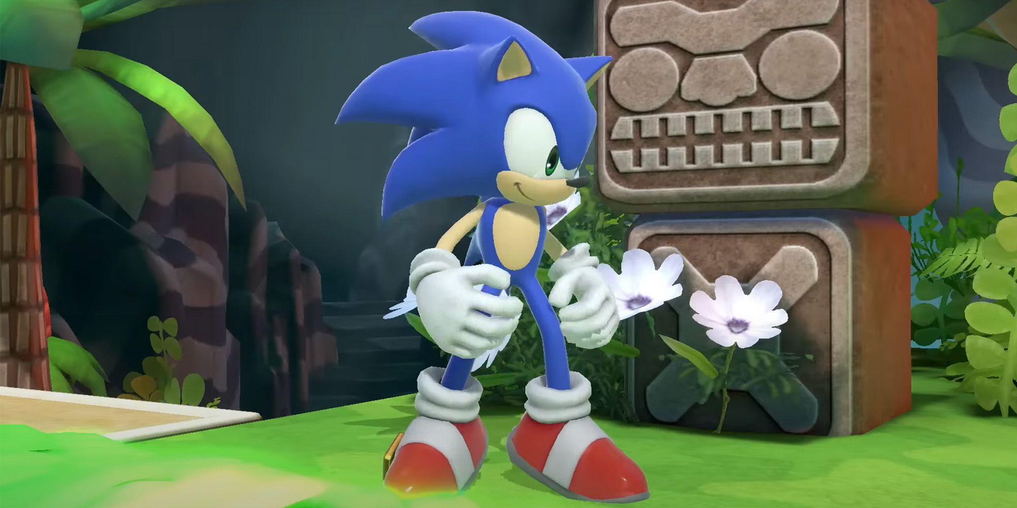 Super Smash Bros Ultimate - Sonic The Hedgehog standing in the Great Cave Offensive