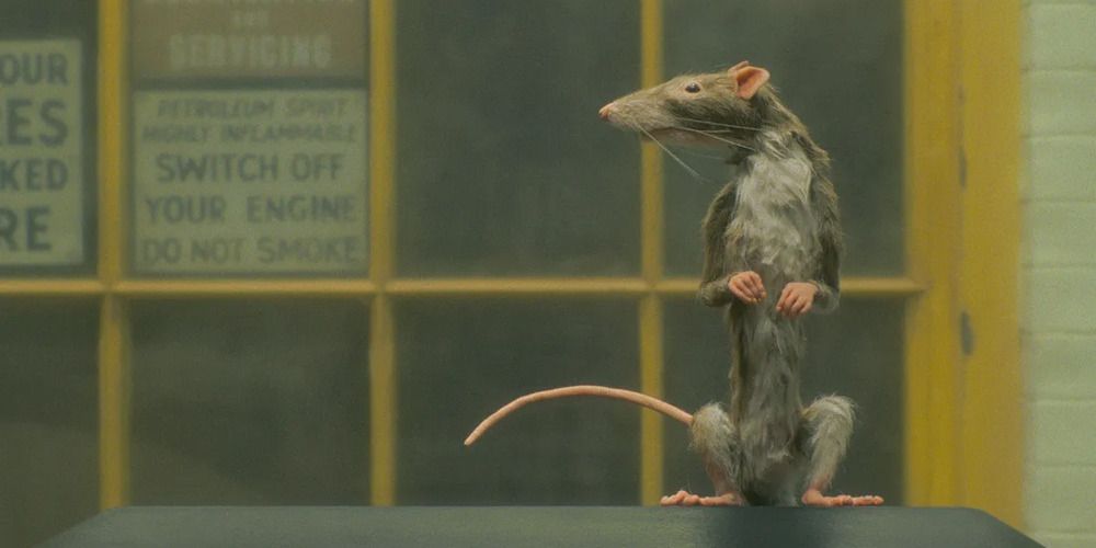 Wes Anderson Needs To Start Making Horror Movies