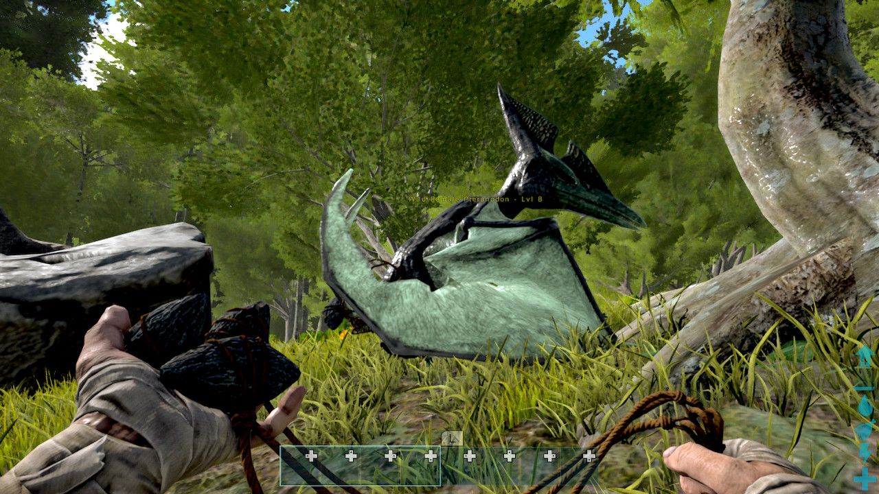 Player character standing in front of a Pteranodon captured in a bola while holding another bola in their hands in the day in Ark Survival Evolved.