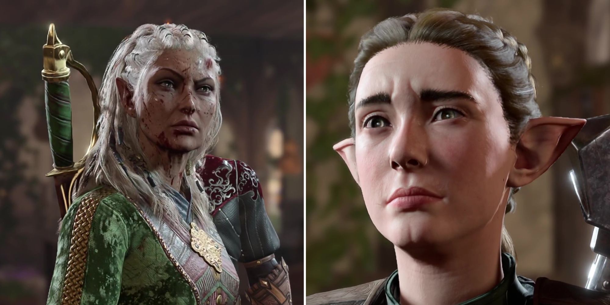 Baldur's Gate 3 Jaheira and Rion Split Image