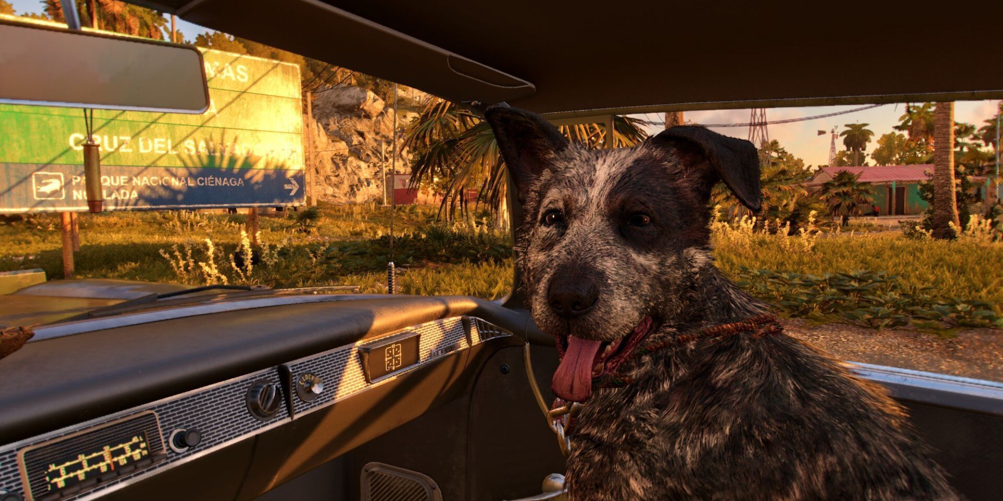 A content-looking dog with grey and white fur sitting in a blue car.