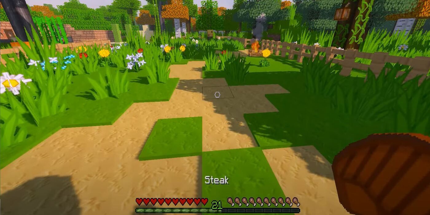 Grass and tress with Sapixcraft texture pack in Minecraft