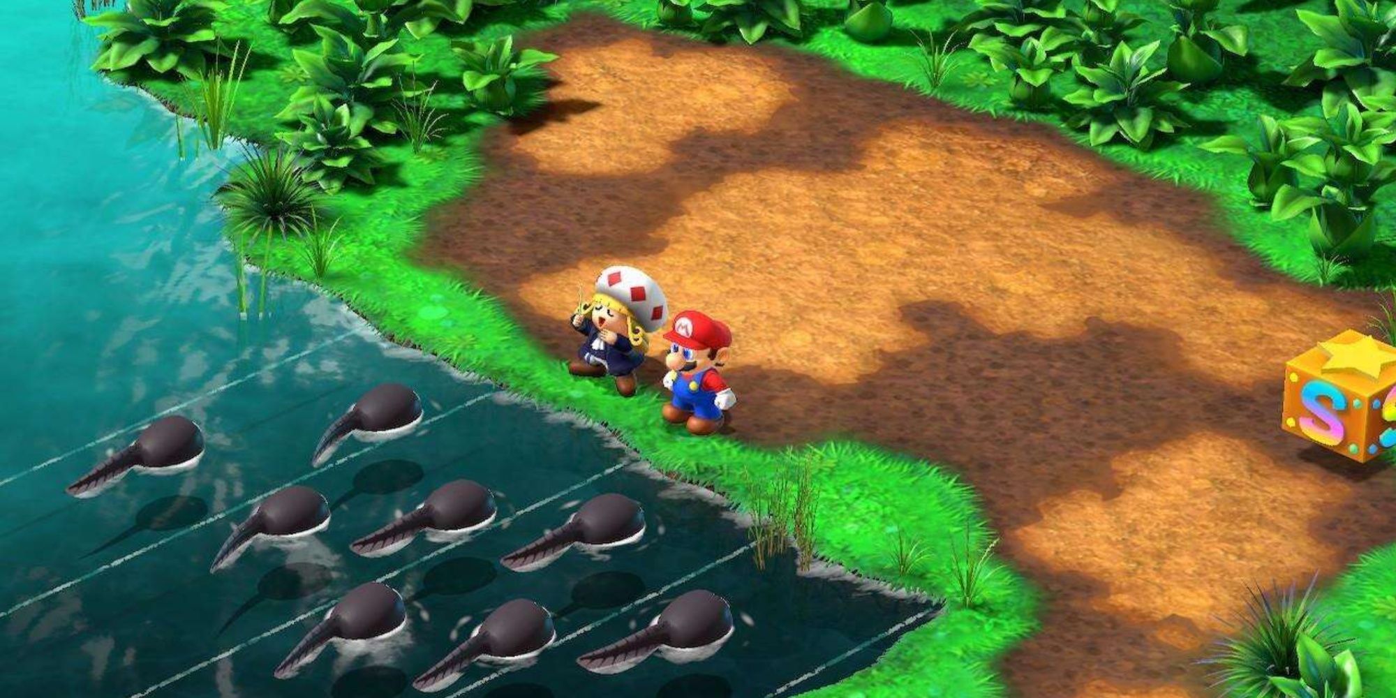Mario Looking At A Group Of Tadpoles
