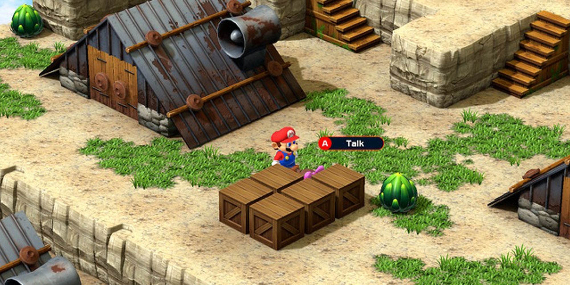 Mario Talking to A Mole With A Pink Bow