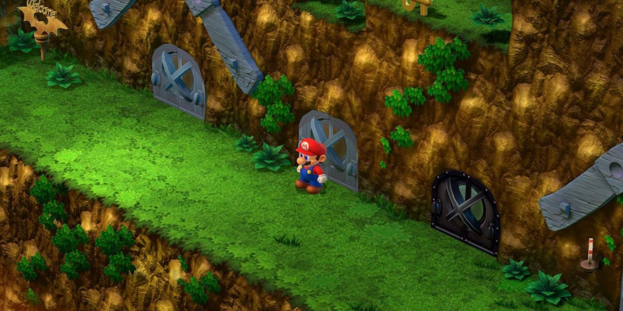 Mario Standng In Front Of Multiple Doors