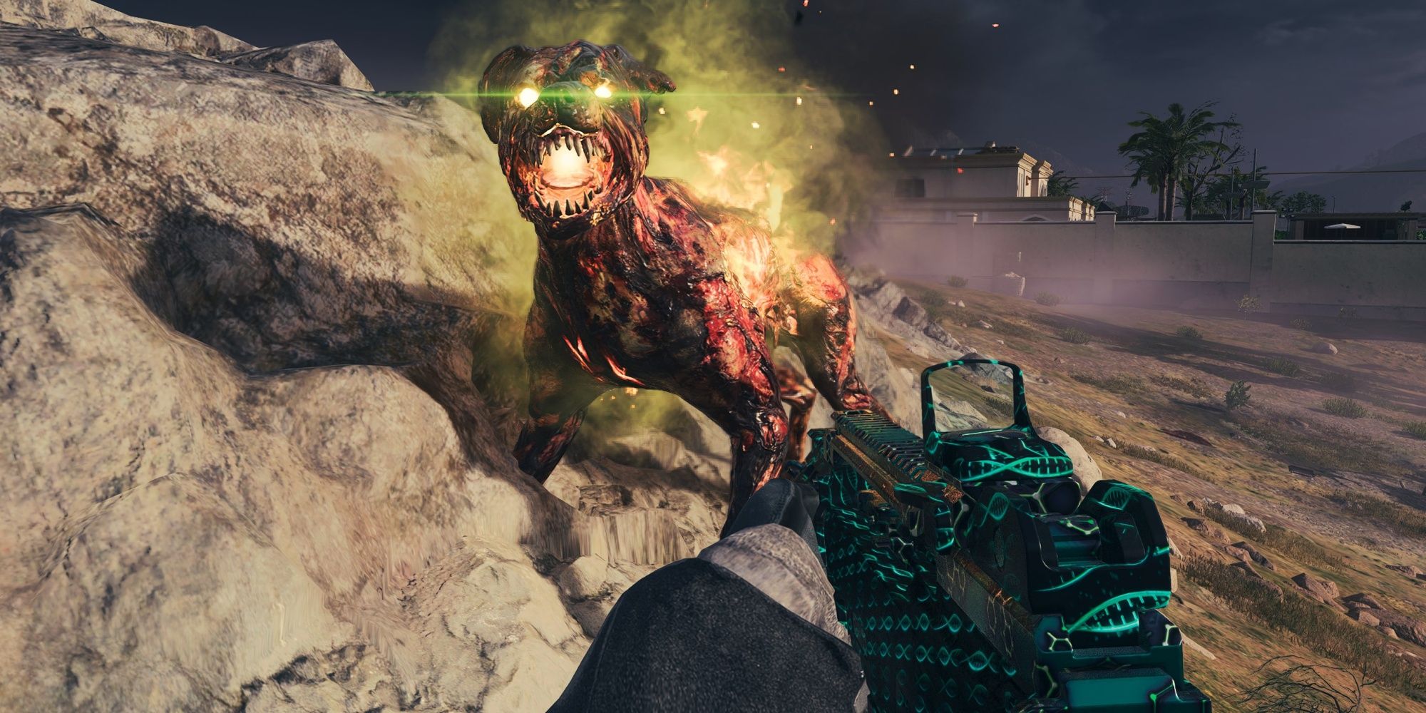 Modern Warfare 3 Zombies Friendly Hellhound Dog