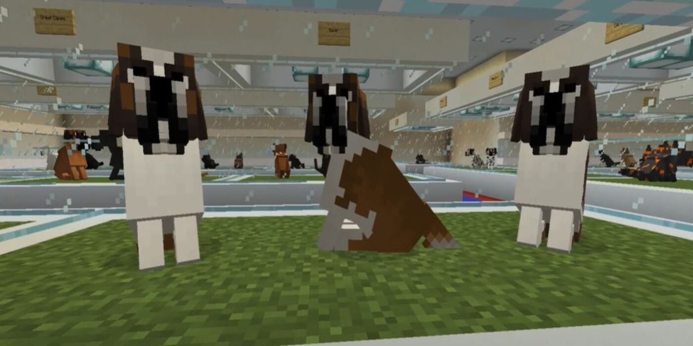 Saint Bernards in Better Dogs texture pack in Minecraft