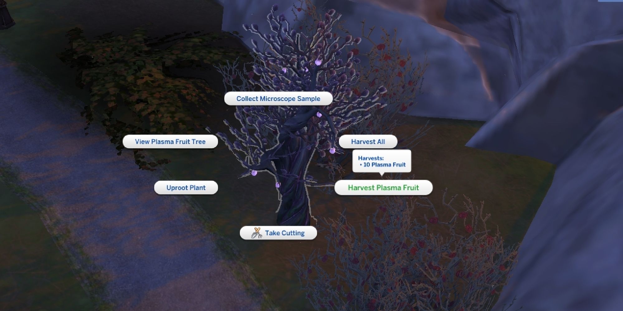 sims 4 harvesting wild plasma fruit from tree