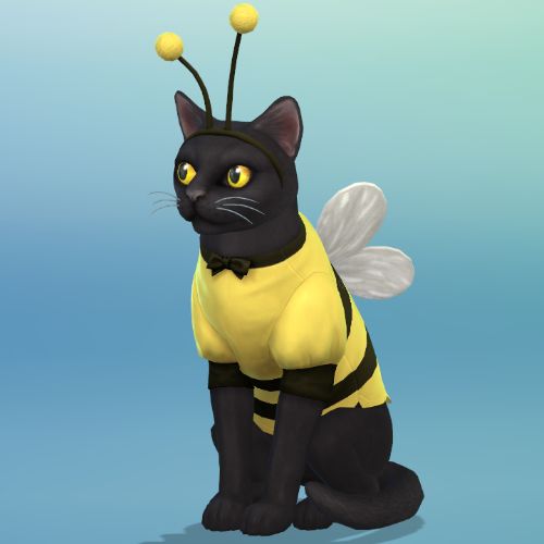 Sims 4 MFPS Cat bee costume