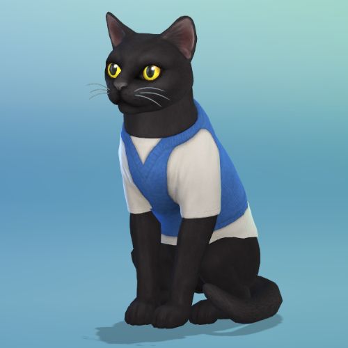 Sims 4 MFPS Cat smart jumper