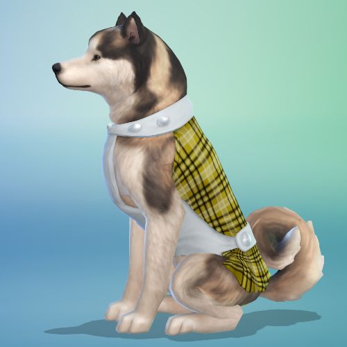 Sims 4 MFPS dog dress