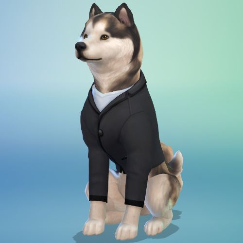 Sims 4 MFPS Smart Dog Outfit