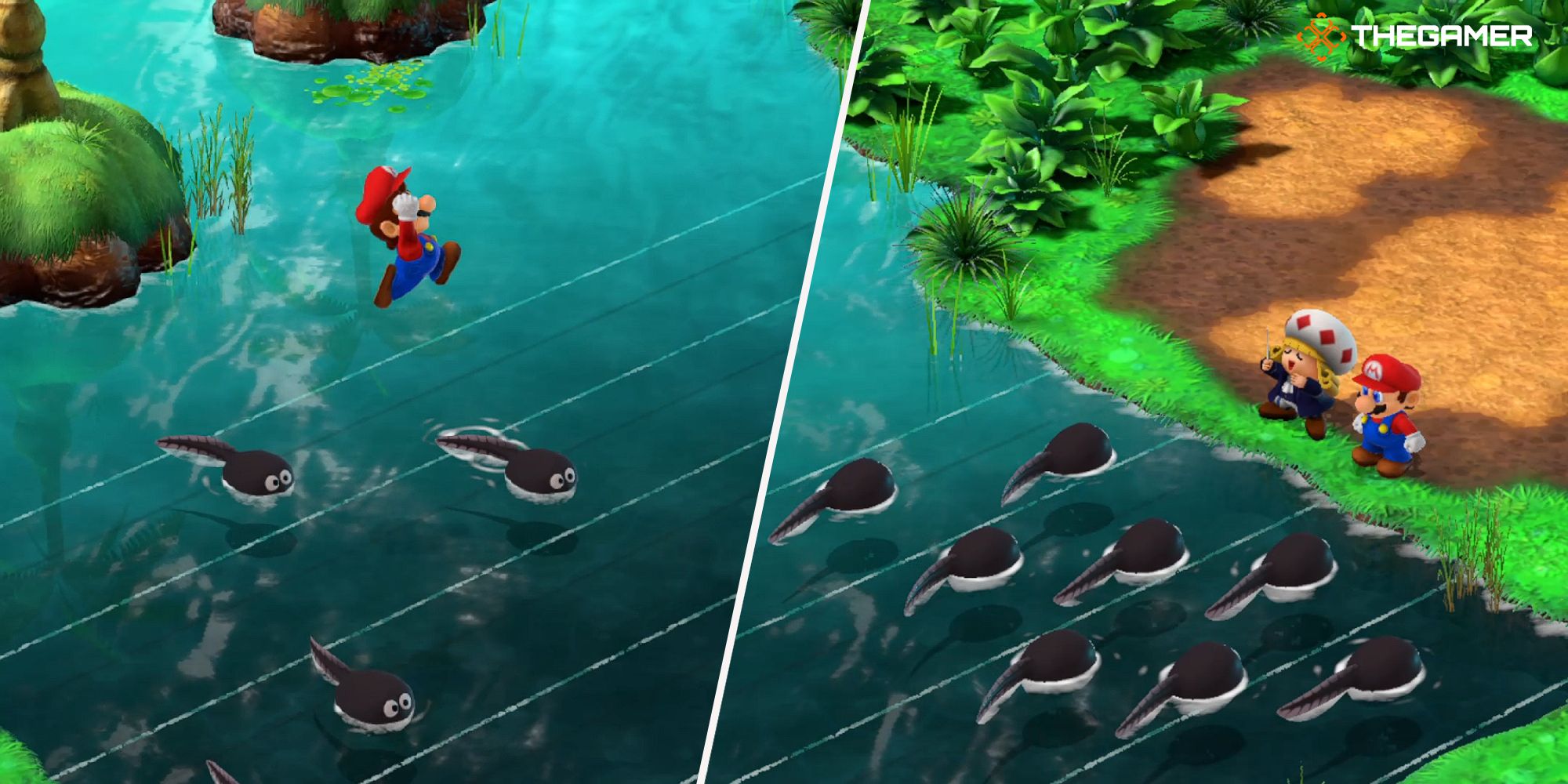 Super Mario RPG Mario Solving Toadofsky Puzzle