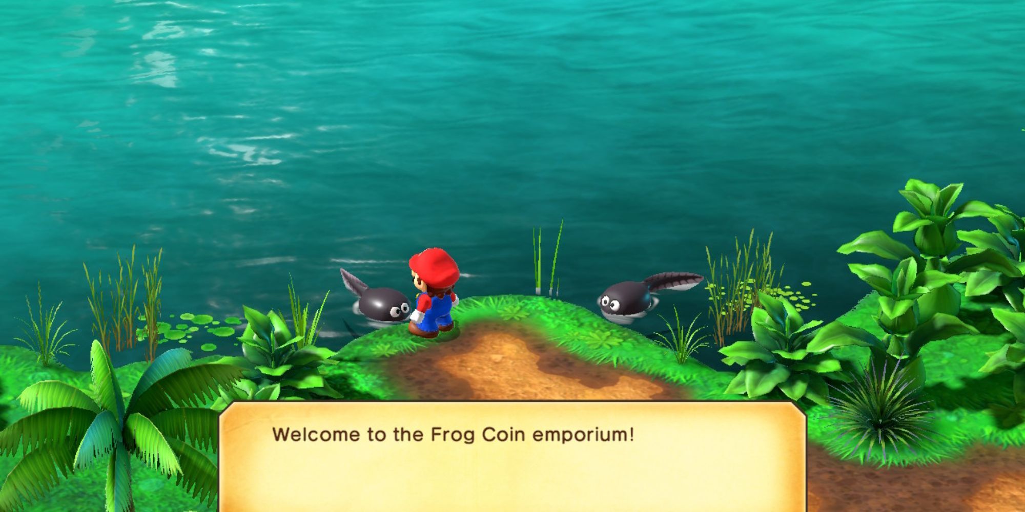 Super Mario RPG Players Have Found A Way To Get Infinite Frog Coins