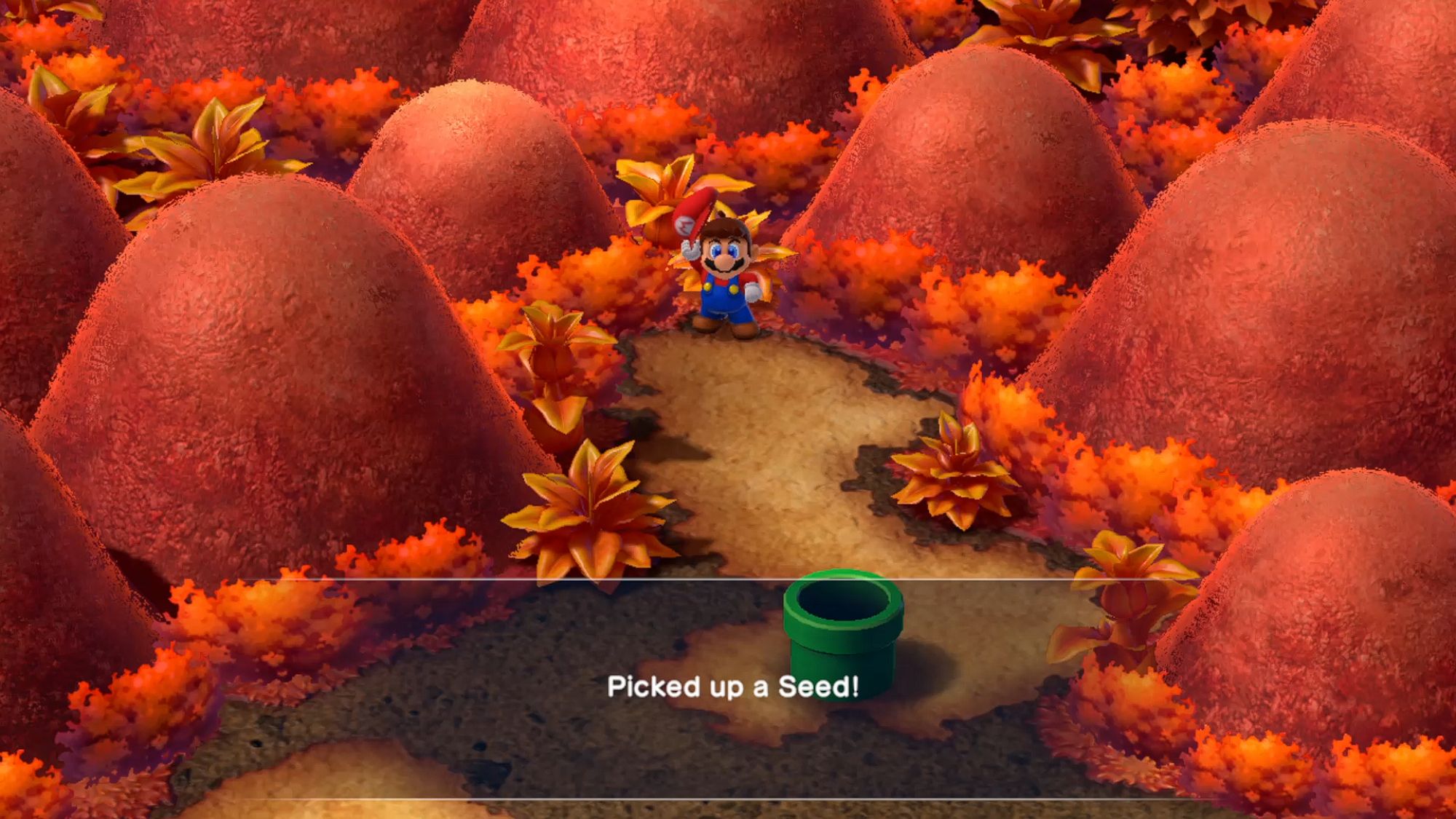 Super Mario RPG Mario Finding A Seed