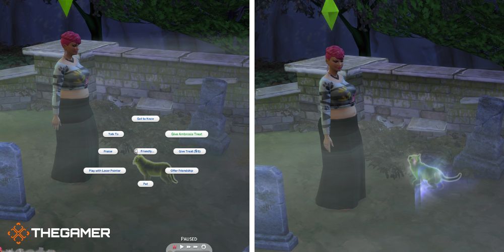 The Sims 4 Cats & Dogs: Giving ghost cat the ambrosia treat to resurrect them
