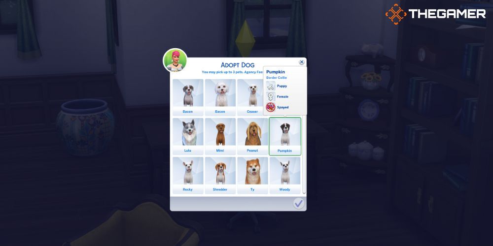The Sims 4 Cats & Dogs: Menu for choosing a dog to adopt