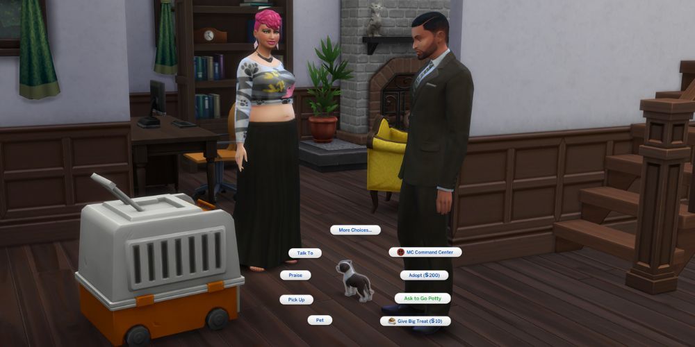 The Sims 4 Cats & Dogs: Standing in house with the Adoption Agent and puppy, ready to adopt