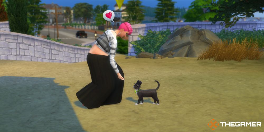 The Sims 4 Cats & Dogs: Meeting stray cat