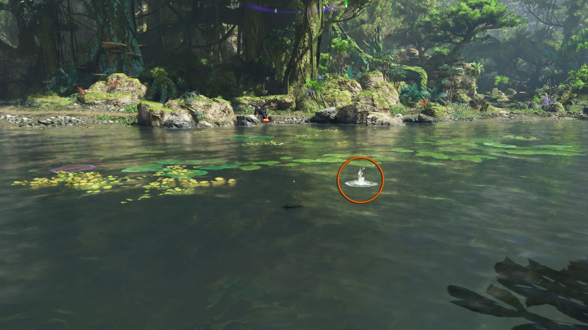 A circle showing the bubbly water area indicating a fish is ready to be fished Avatar Frontiers of Pandora