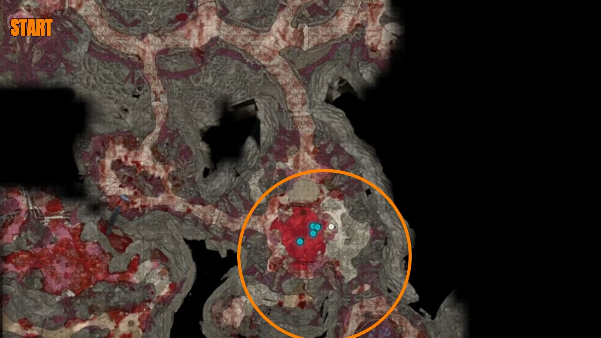 Where To Find The Resonance Stone In BG3   Baldur S Gate 3 Mind Flayer Colony Map Labeled Starting Point 