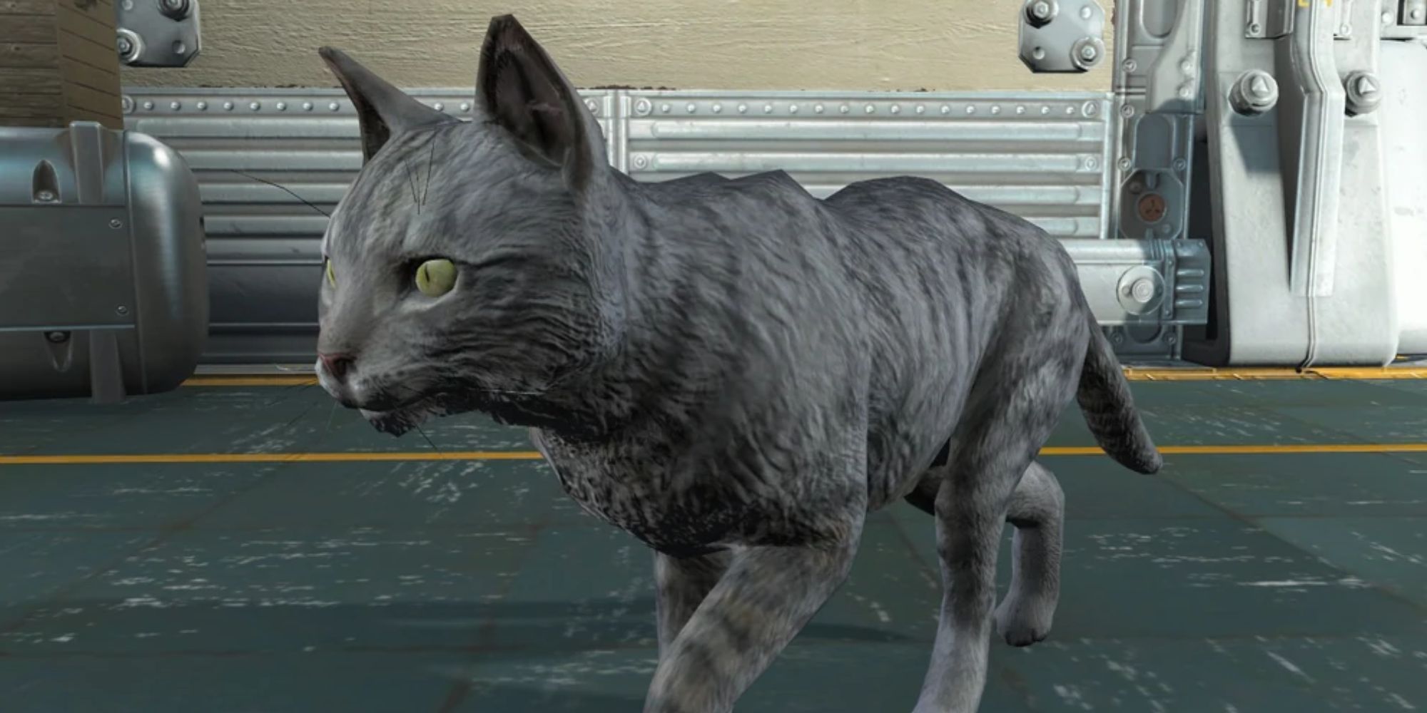 Ashes the cat in Fallout 4.