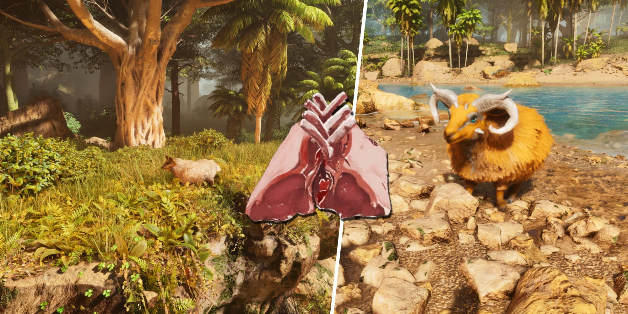 Ark: Survival Ascended - Split Image: Ovis in the redwood forest / Ovis on the beach