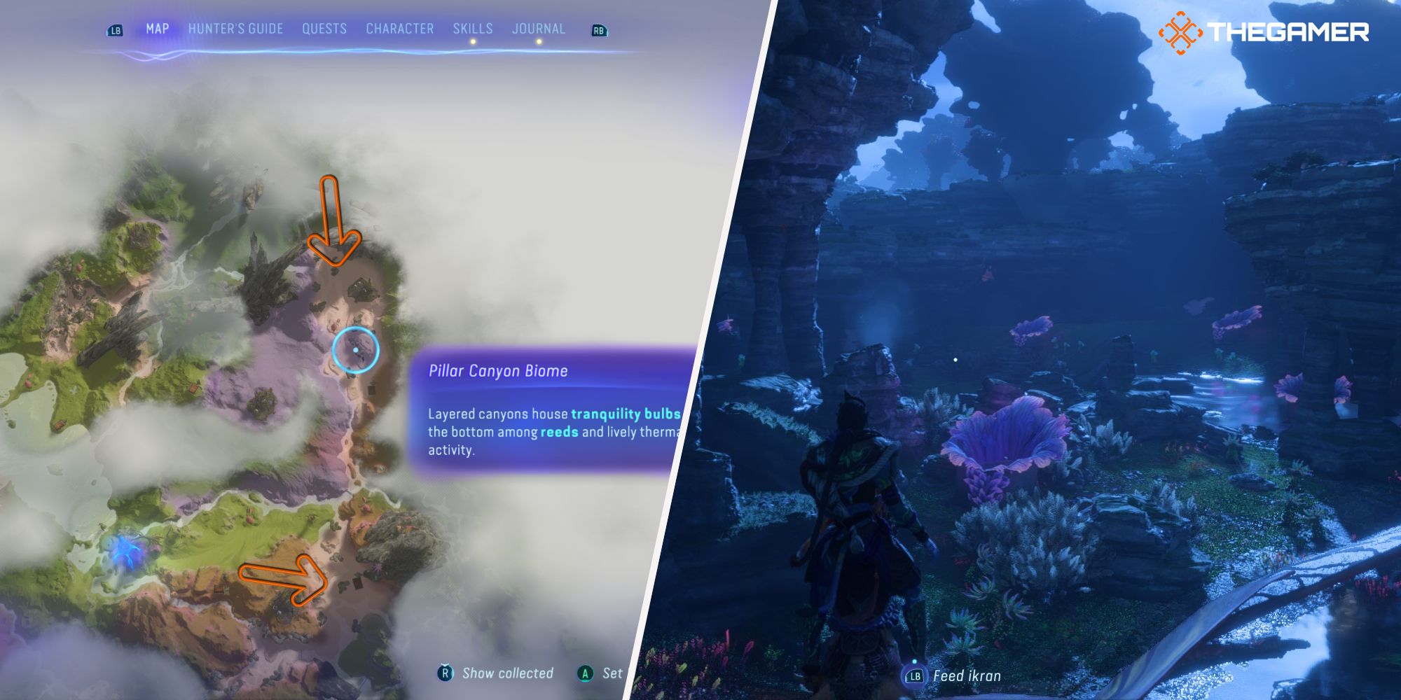 Left: two arrows showing the location of the Pillar Canyon Biome on the map - Right: Player looking at a bunch of Tranquility Bulb Avatar Frontiers of Pandora