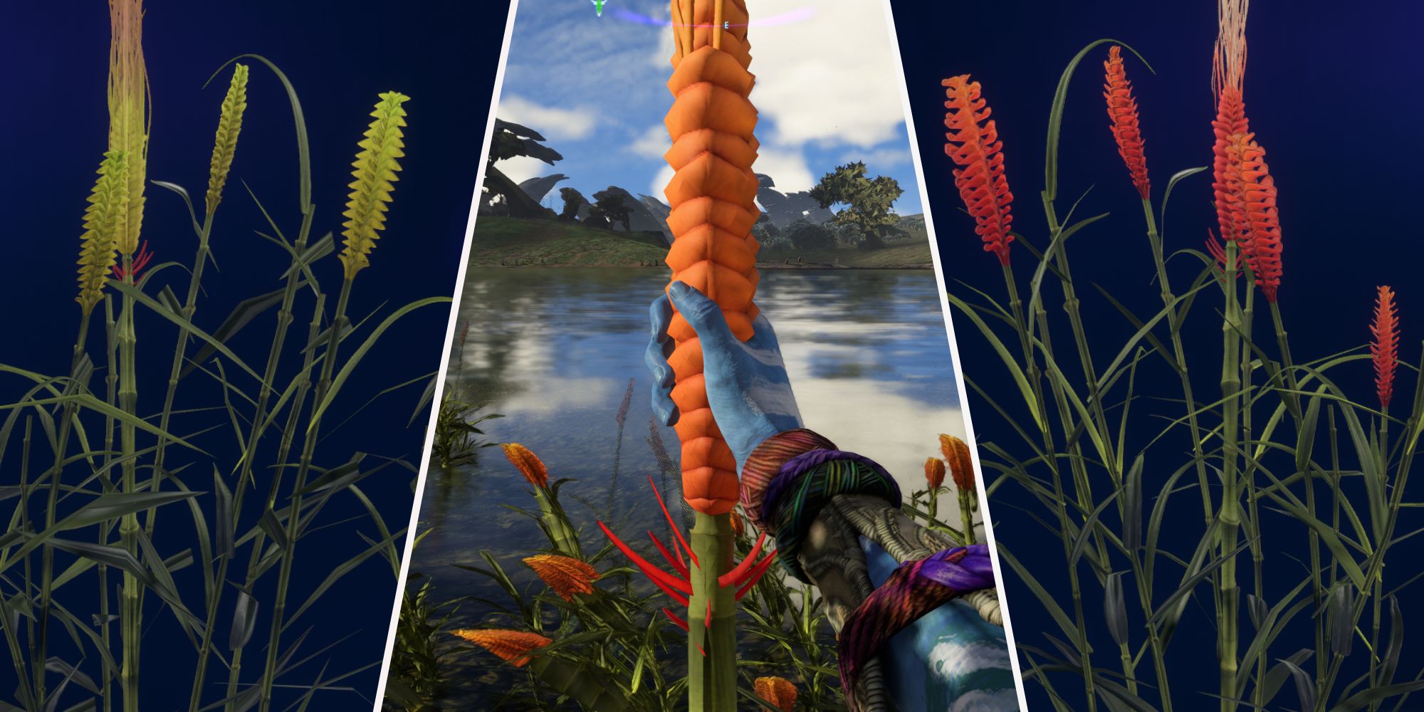 Pandora reeds outlet