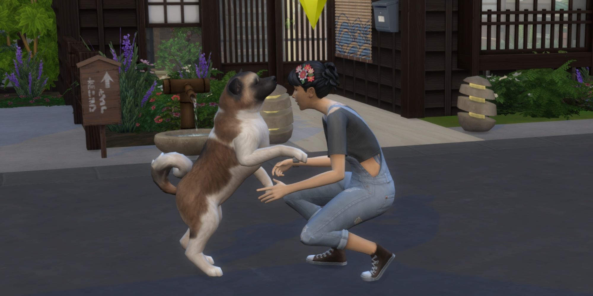 How To Train Your Pet In The Sims 4