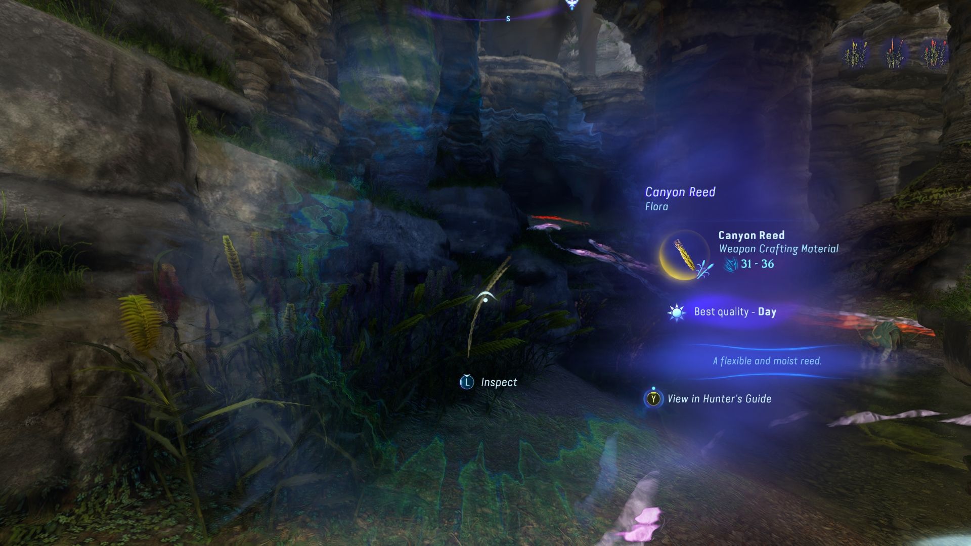 How To Get Reeds In Avatar Frontiers Of Pandora