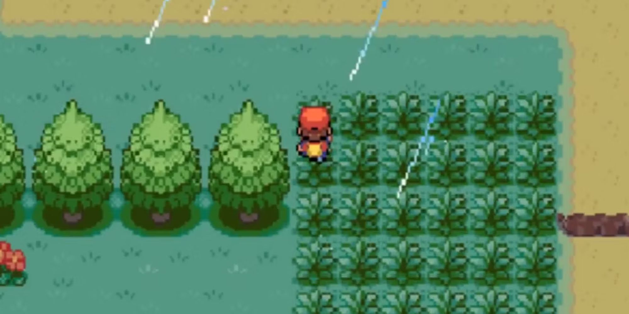 Pokemon Creepy Black Running Through Grass
