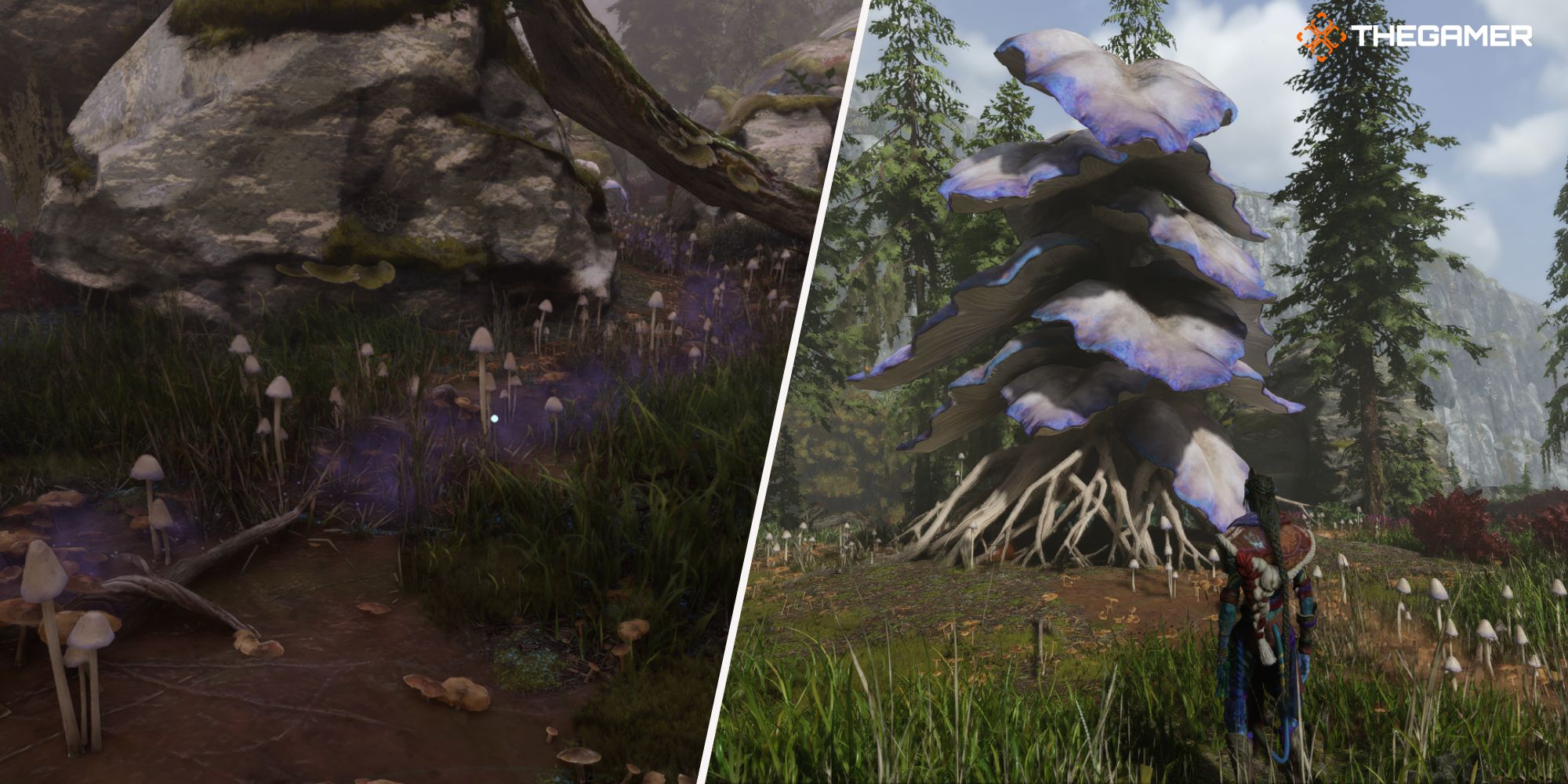 Right: Player standing next to a Budding Watcher - Left: A picture of a trail of small mushrooms Avatar Frontiers of Pandora