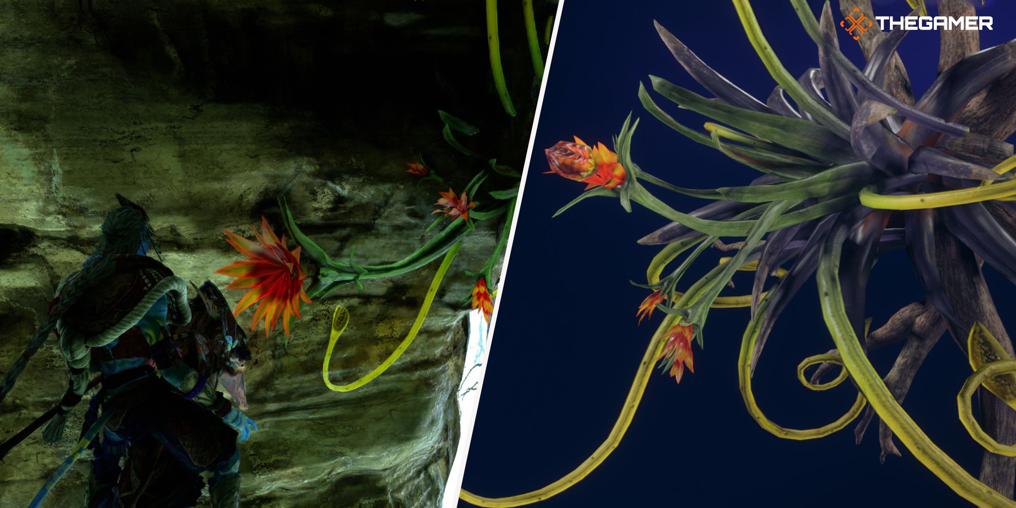 Rechts: Whip Leaf-Bild – Links: Spieler steht neben einem Whip Leaf, das den Blaze Fruit Avatar Frontiers of Pandora enthält