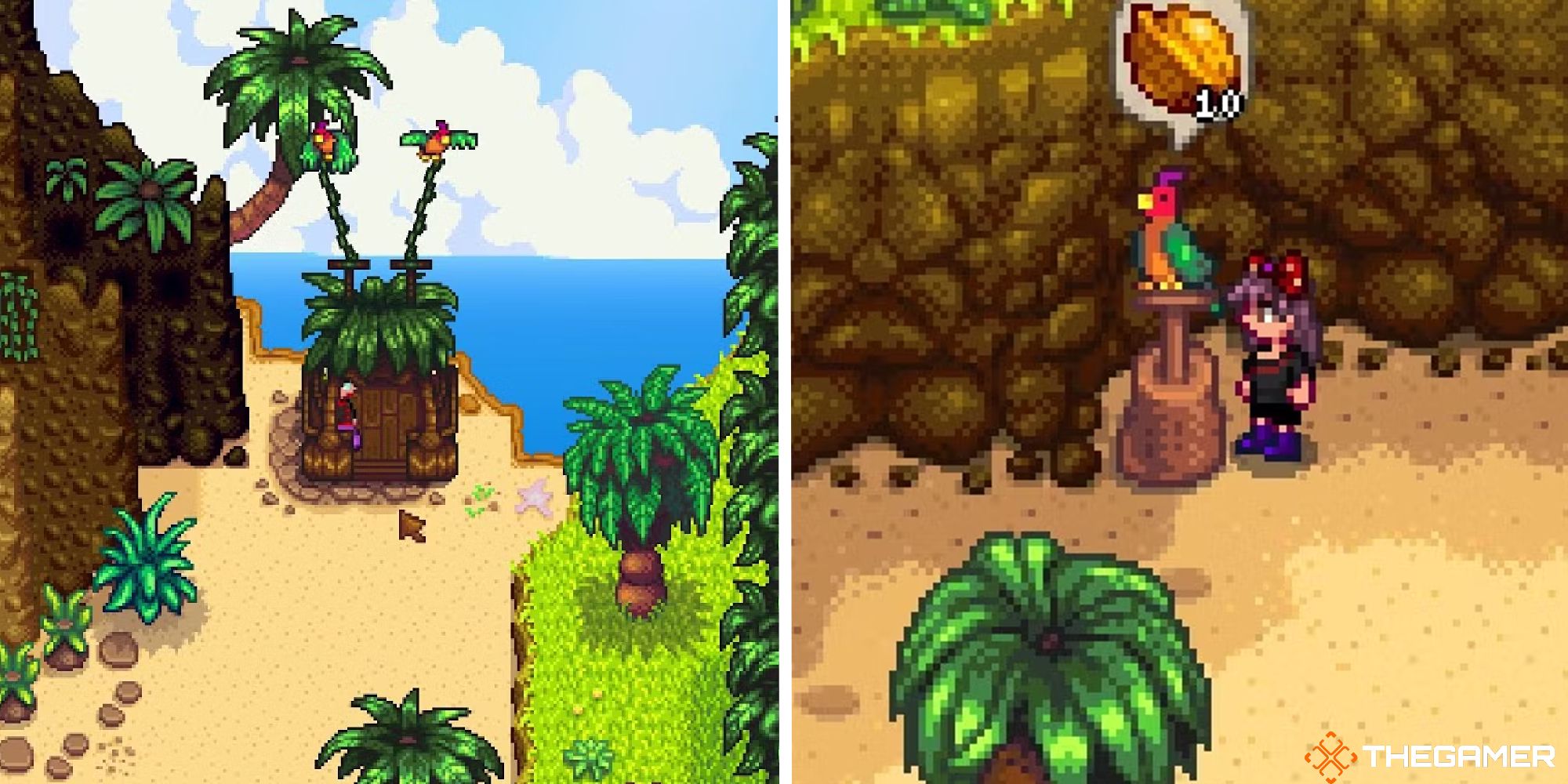 stardew valley split image showing parrot express next to image of player talking to a parrot requesting a golden walnut