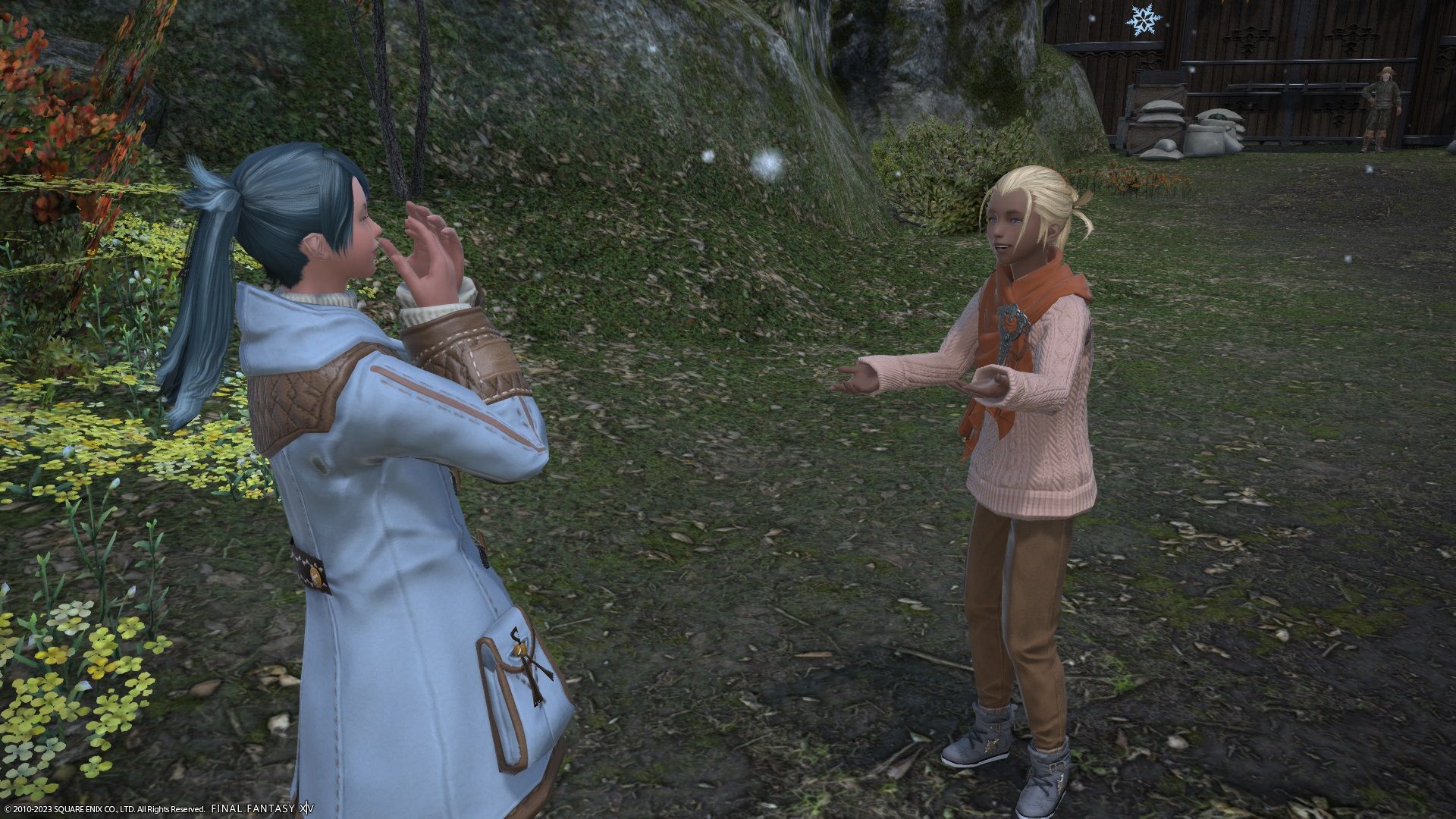 Tenny and Saulinne chatting in Final Fantasy 14.
