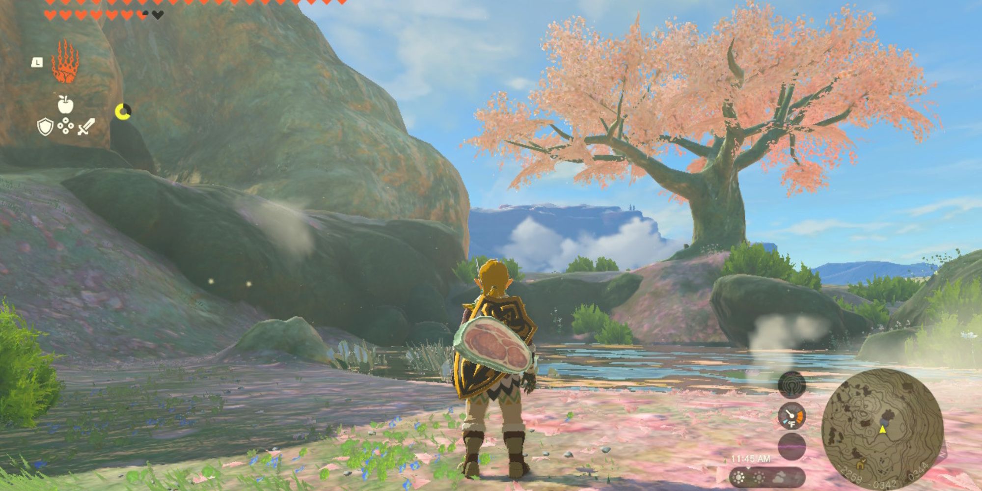 The Legend of Zelda Tears of the Kingdom Link Standing at Satori Mountain with a shield fused with frozen meat on his back