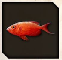 Every Dondoko Island Fish And How To Catch It In Like A Dragon 