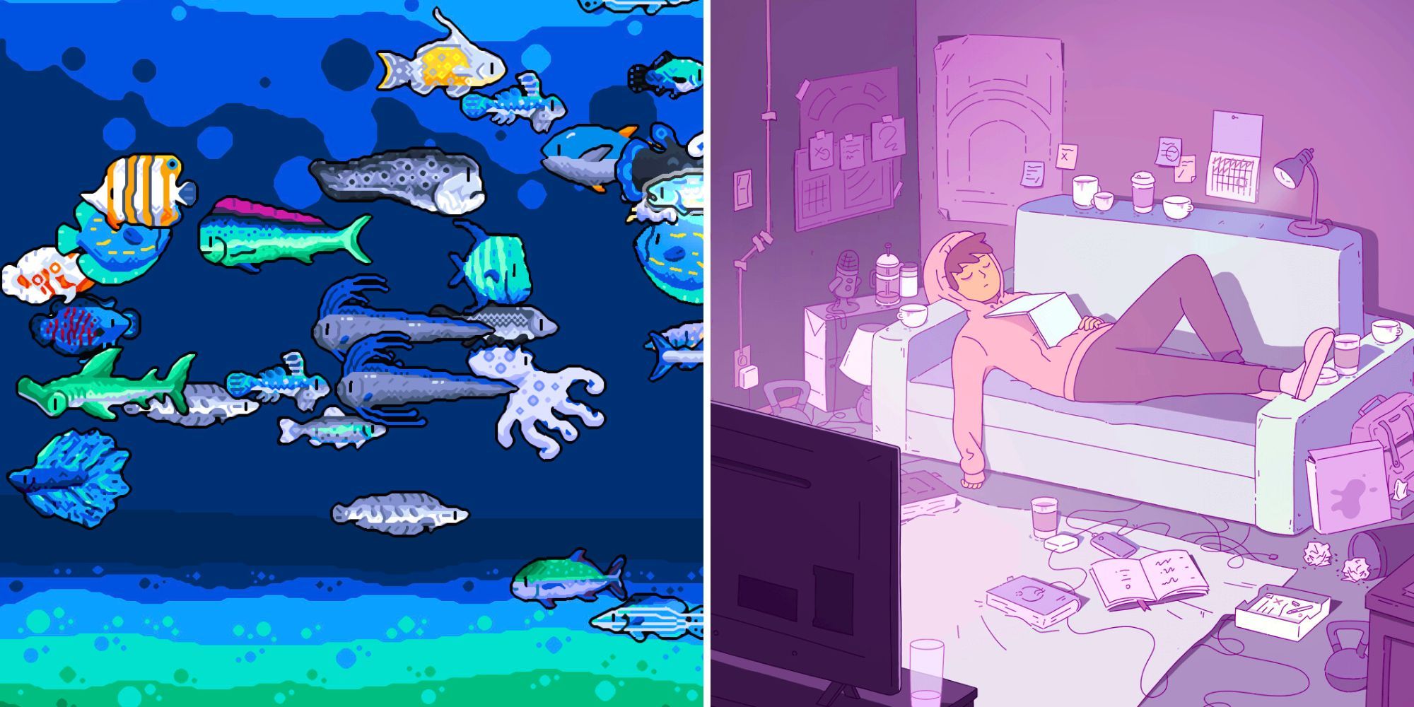 A split image of a heavily populated aquarium, and a person napping on the couch with the TV on.