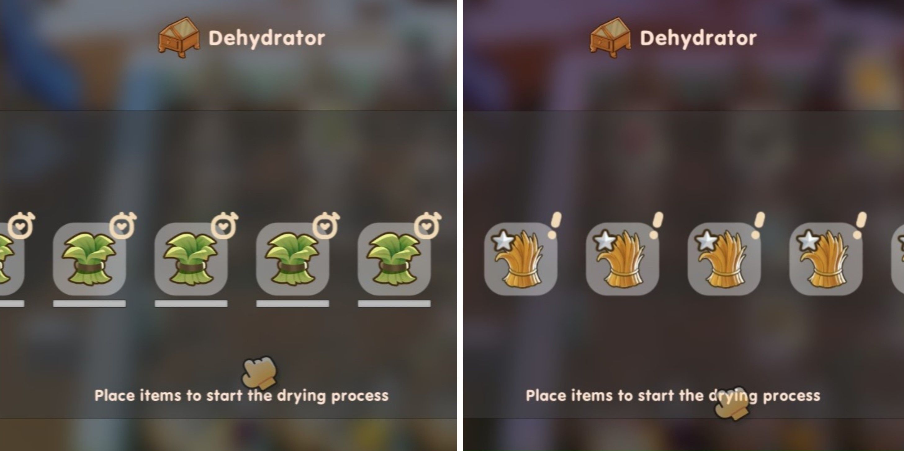 Coral Island: A split image of fiber and hay in the dehydrator