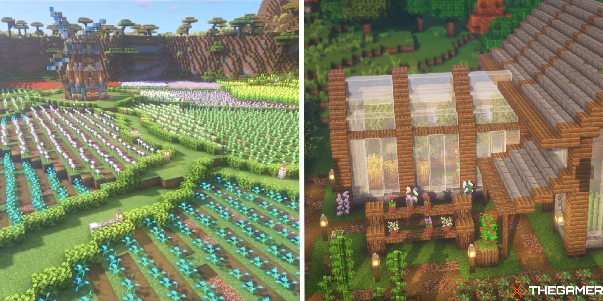 minecraft split image showing flower garden next to image of greenhouse