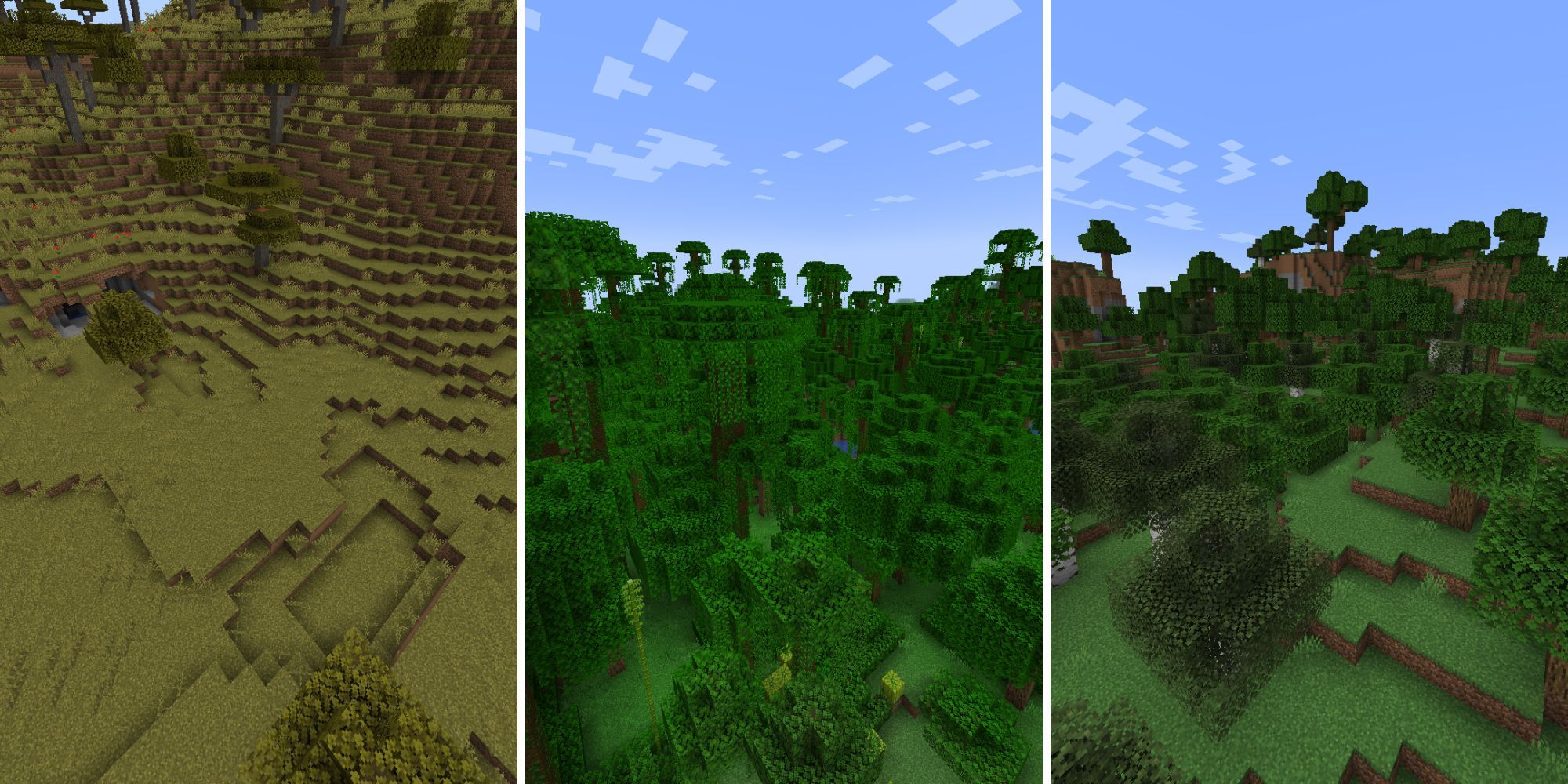 Ein geteiltes Bild, das drei verschiedene Biome zeigt: eine Savanne, einen Dschungel und einen Wald.