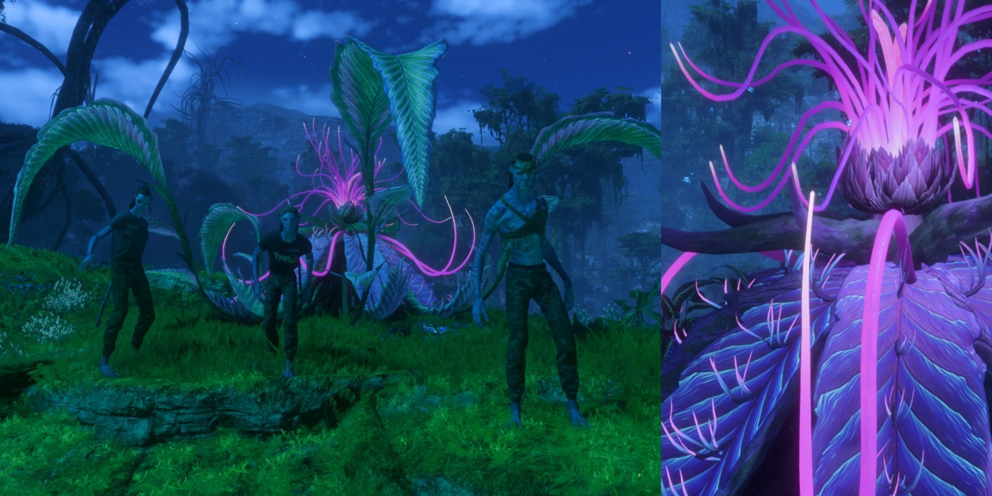 A collage of Teylan, Ri'nela, and Nor standing in front of  the Tarsyu Flower and the Tarsyu Flower in Avatar: Frontiers Of Pandora.