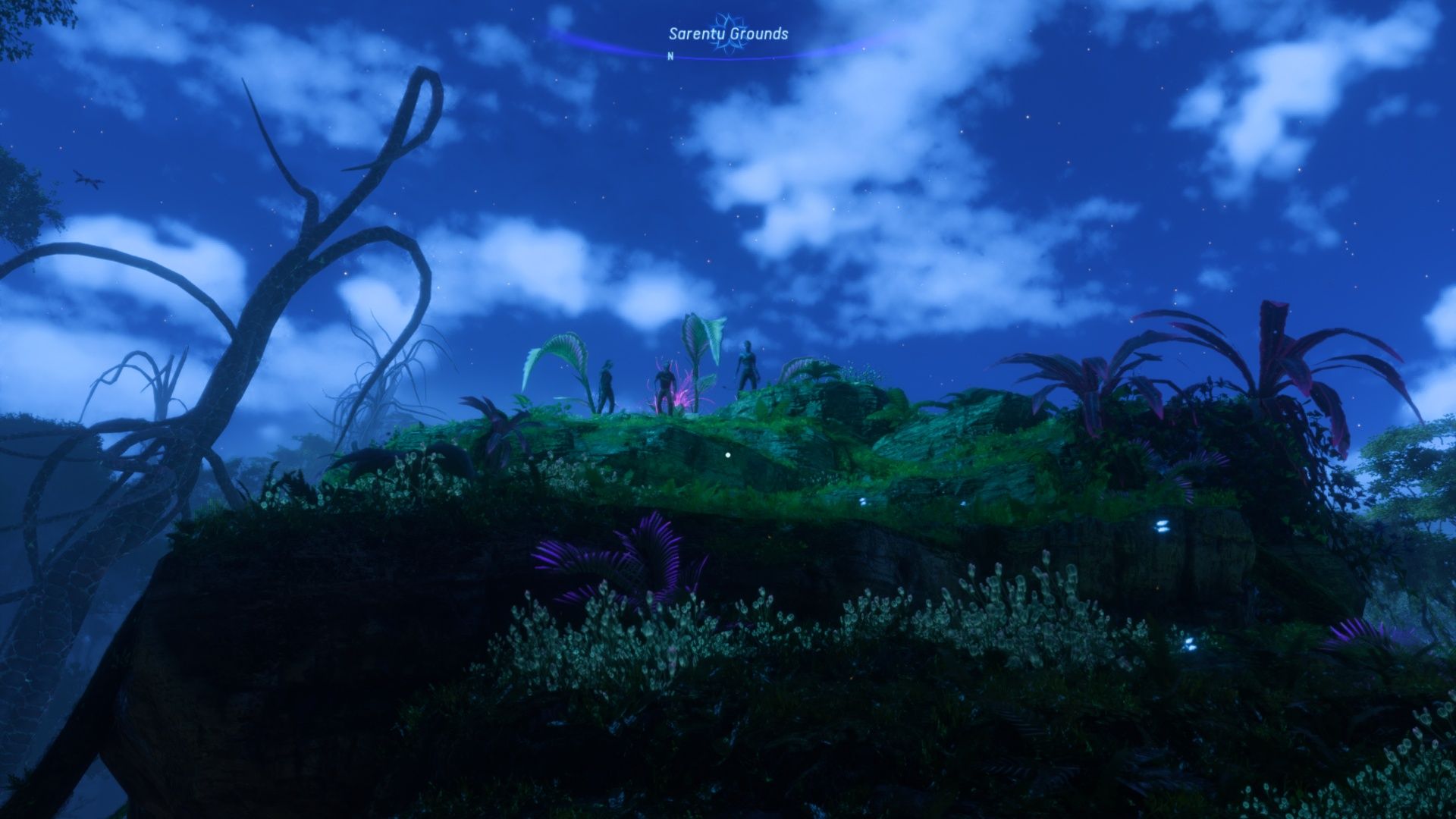 Das Sarentu-Gelände mit Teylan, Ri'nela und Nor an der Spitze in Avatar: Frontiers Of Pandora.